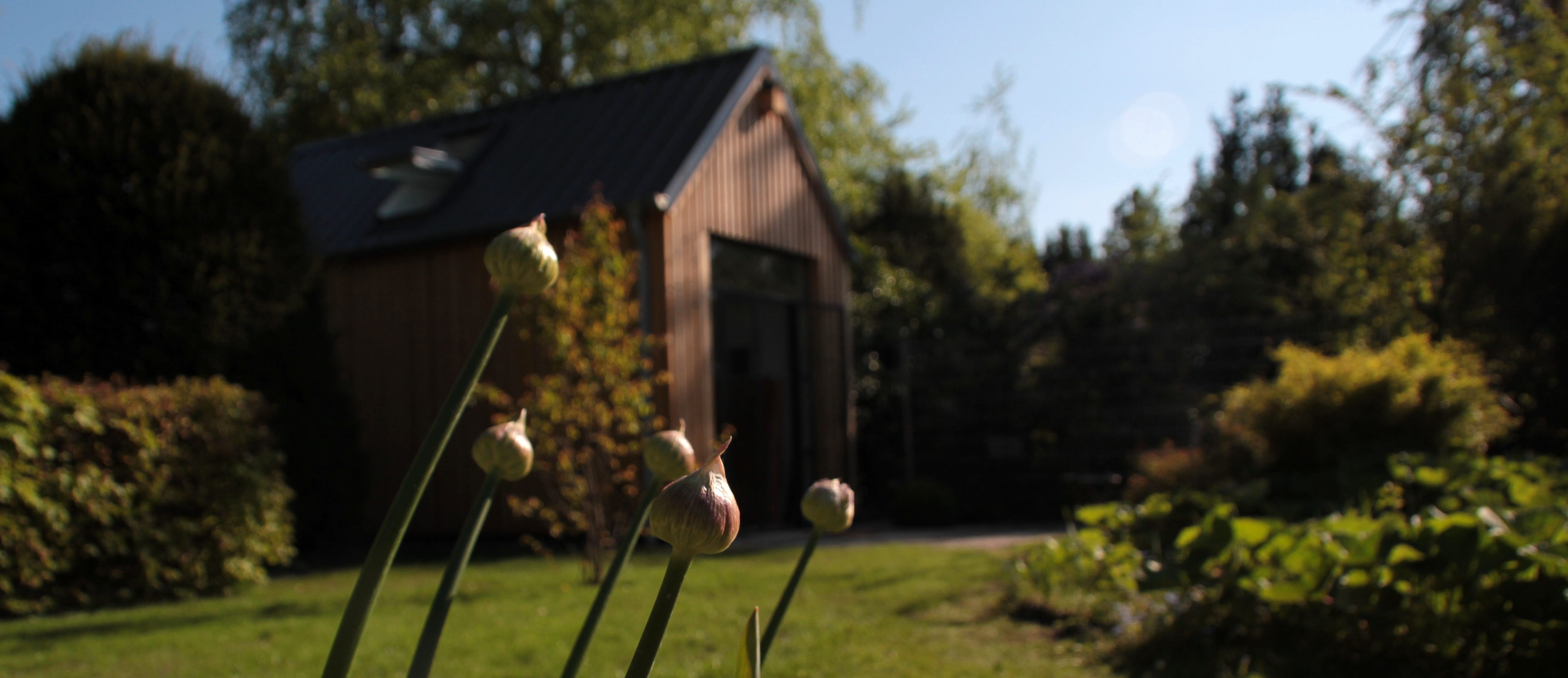 Xyloferrum - Garten und Landschaftsbau