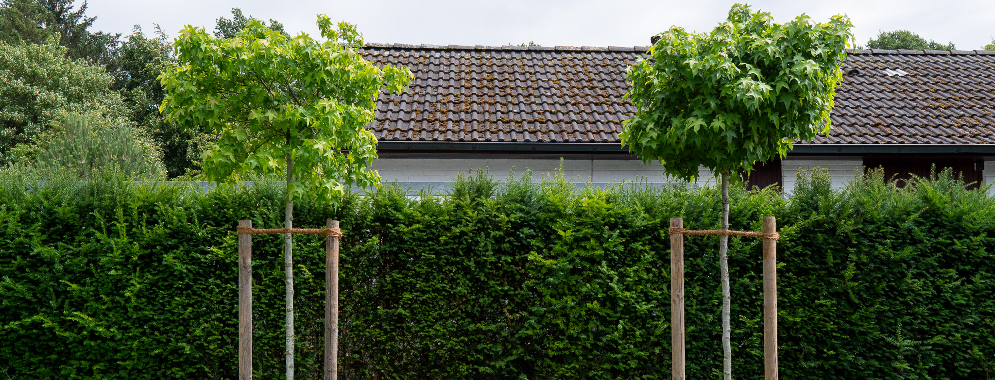 Xyloferrum - Garten und Landschaftsbau