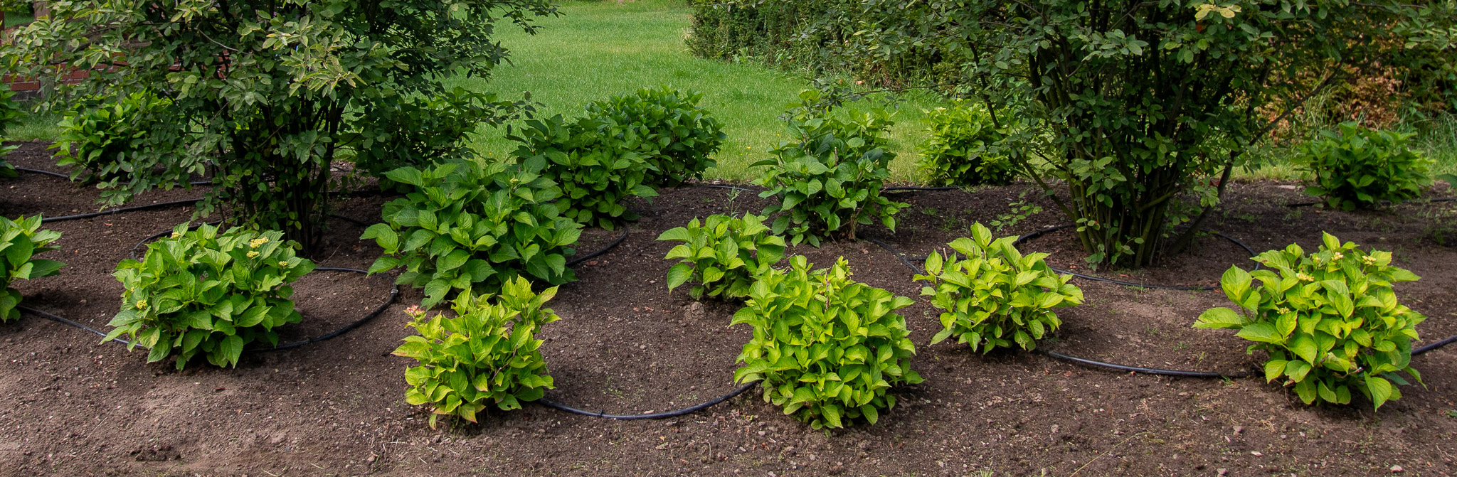 Xyloferrum - Garten und Landschaftsbau